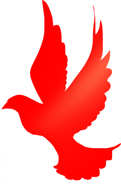 640 (1).png