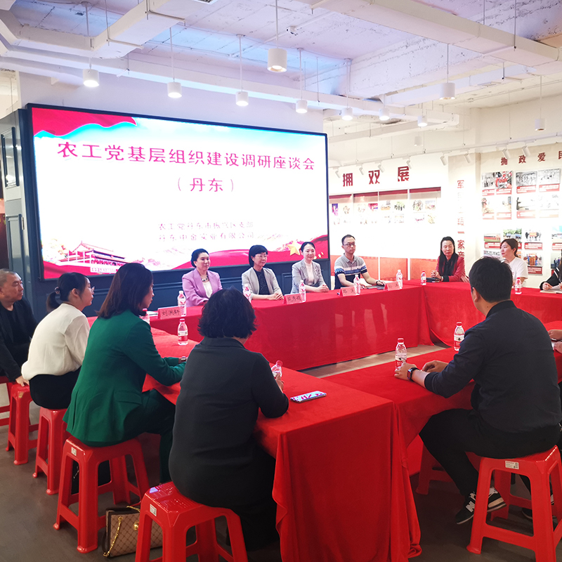 思想政治提升年丨省委会赴丹东振兴区调研基层组织建设